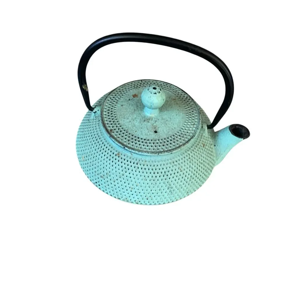 Green Cast Iron Tea Pot & Lid Distressed Patina Dot Texture Asian Rustic Decor